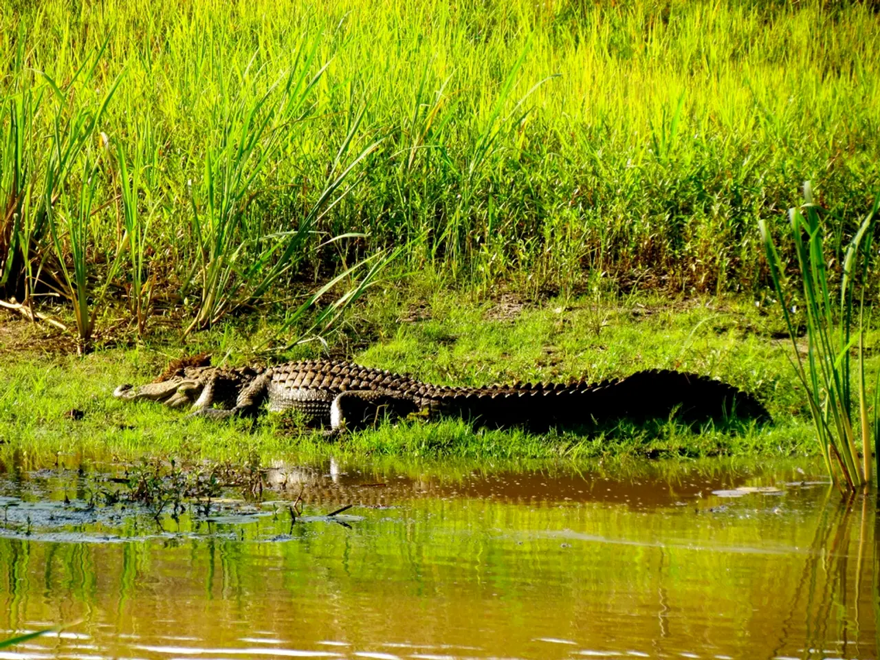 Amazon's 2024 Sustainability Report Highlights Strategies in Manufacturing and Logistics Operations