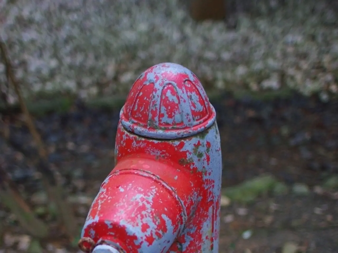 Community efforts aim at transitioning Baltimore's water supply towards a safer, lead-free option