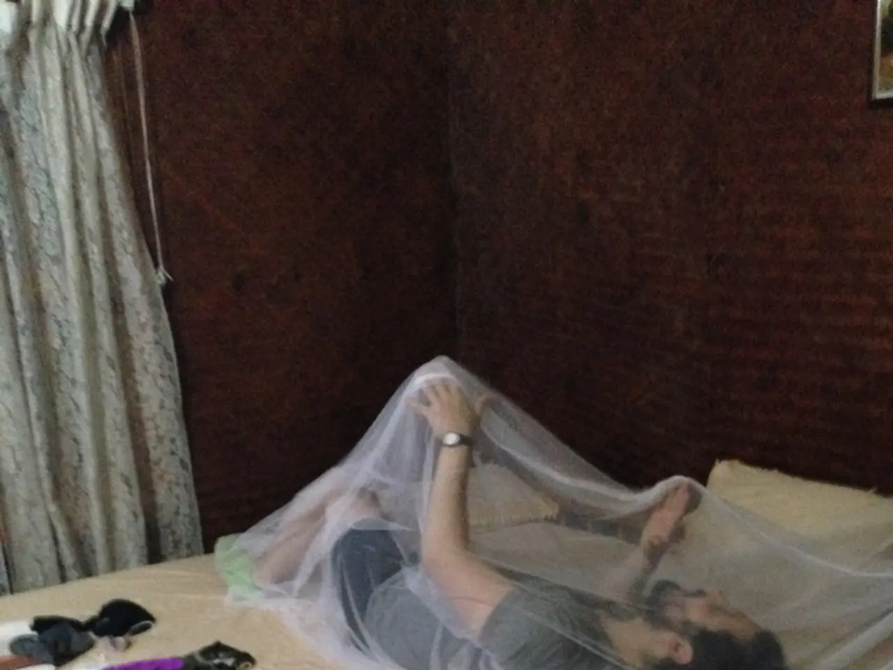 Barbara Meier's spouse, Klemens Hallmann, initiates bankruptcy proceedings.