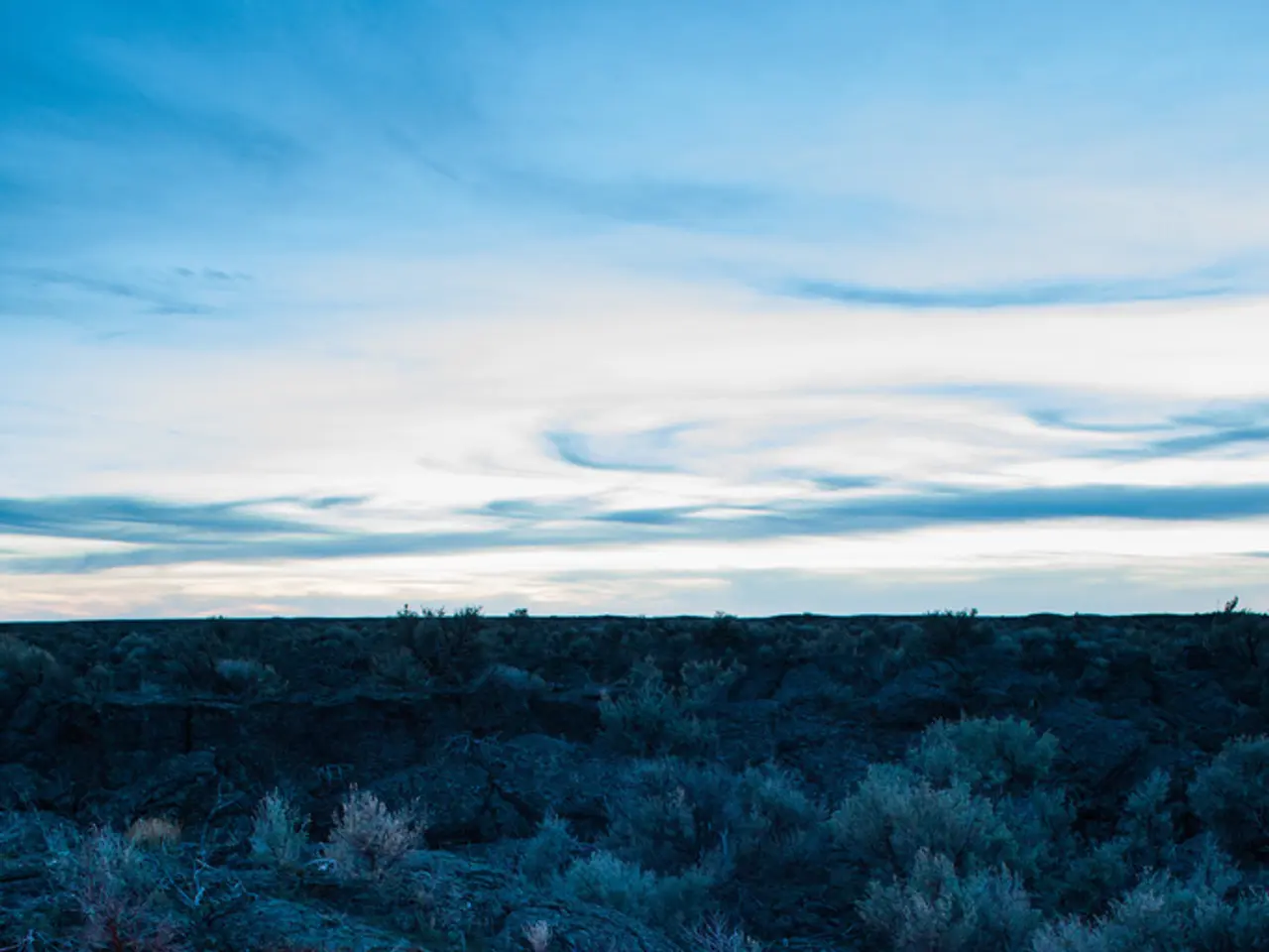 Officers are currently on the hunt for the individual suspected of setting fires in Korntal