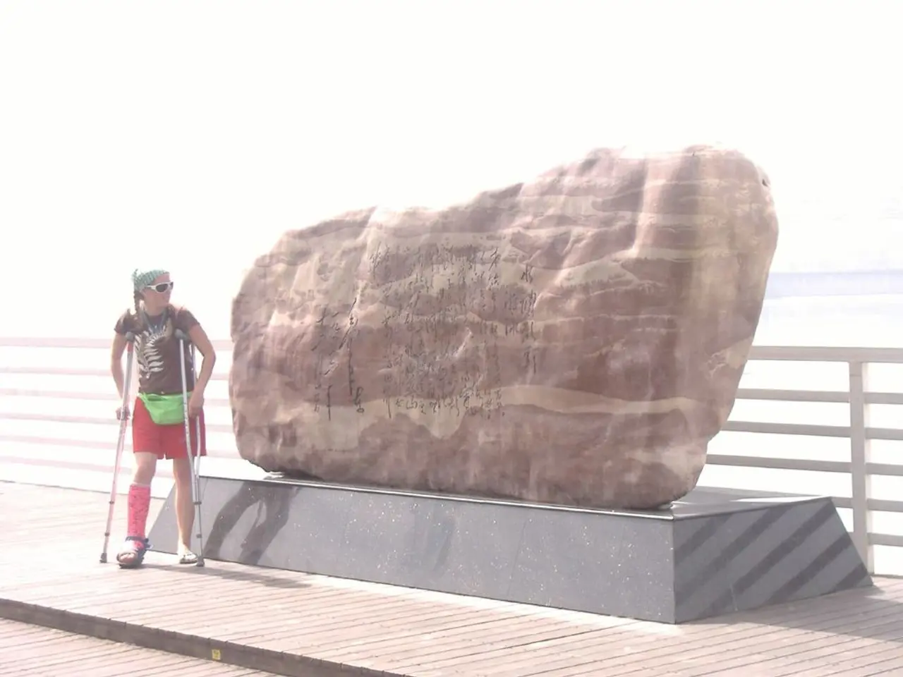 Young teenager, aged 15, disappears following a trip to London and visits to well-known...