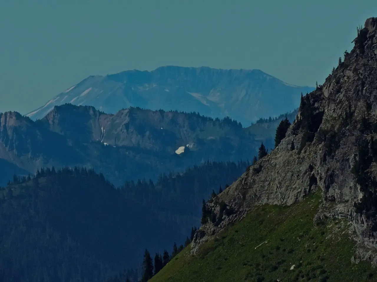 Middle-aged mountain dweller to face legal consequences for unlawful timber harvesting