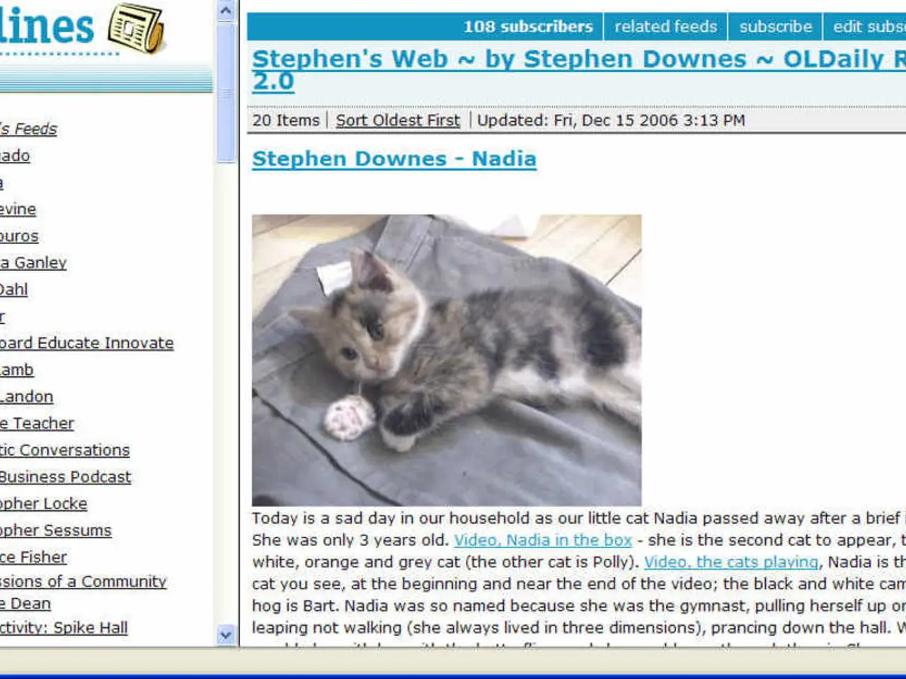 Unveiled in the UK: Groups engaged in cruelly mistreating cats online