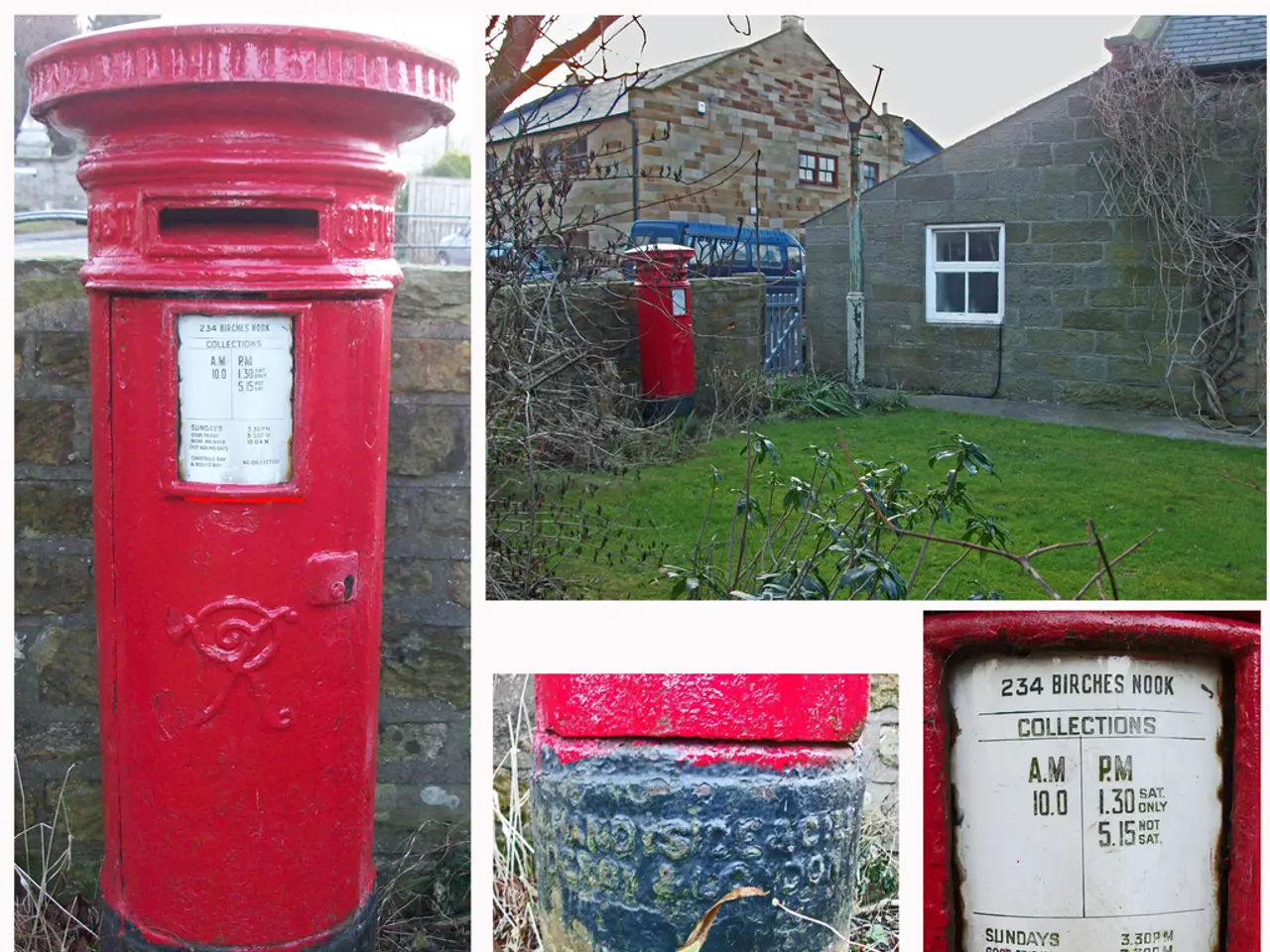 Dimensions of Hydrangeas: Exploring Nine Versatile Varieties, Ensuring Ideal Fits for All Gardens