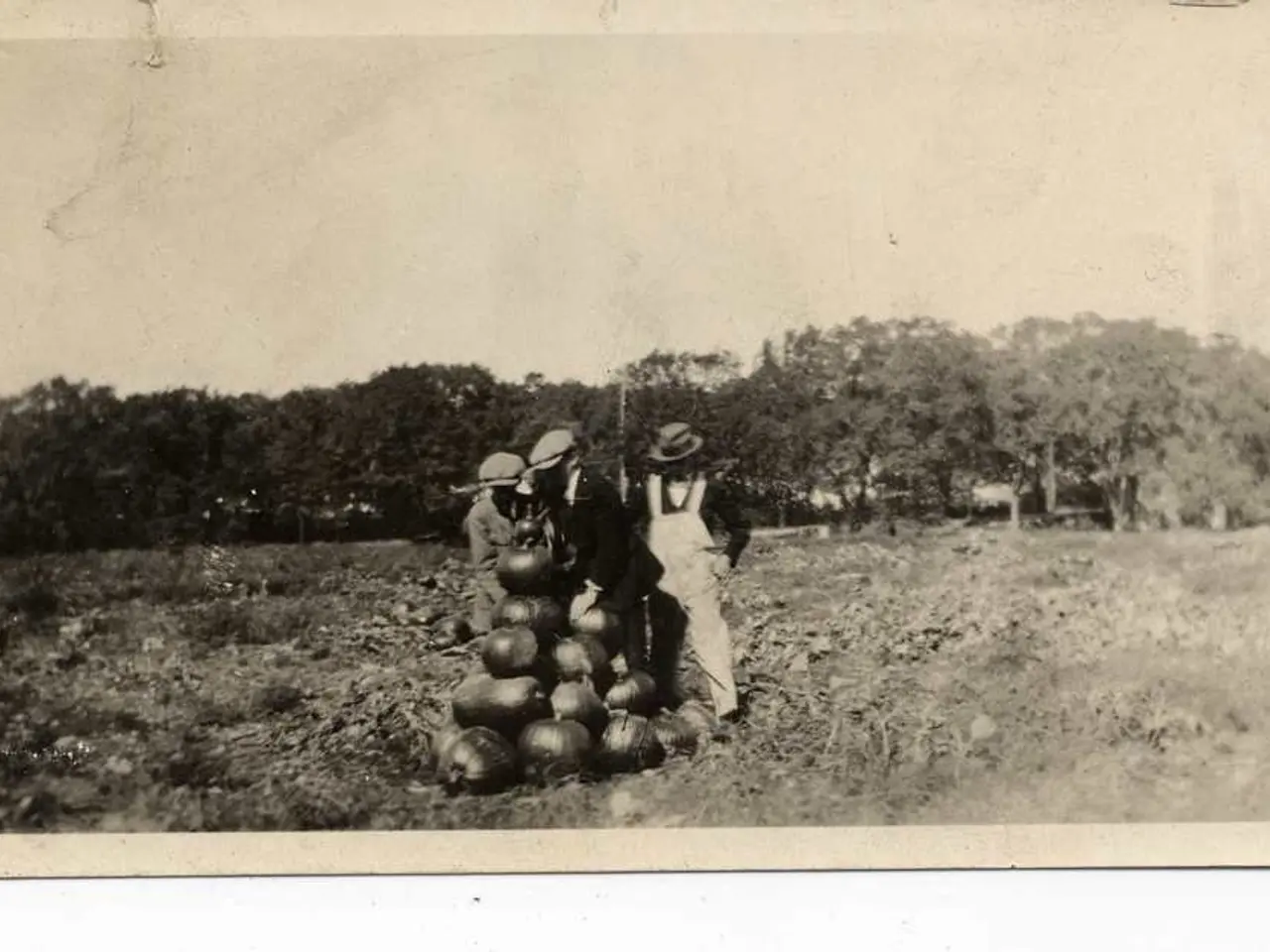 Fire-themed giant pumpkin statues deliver a fiery encounter for tourists in Kaiserslautern