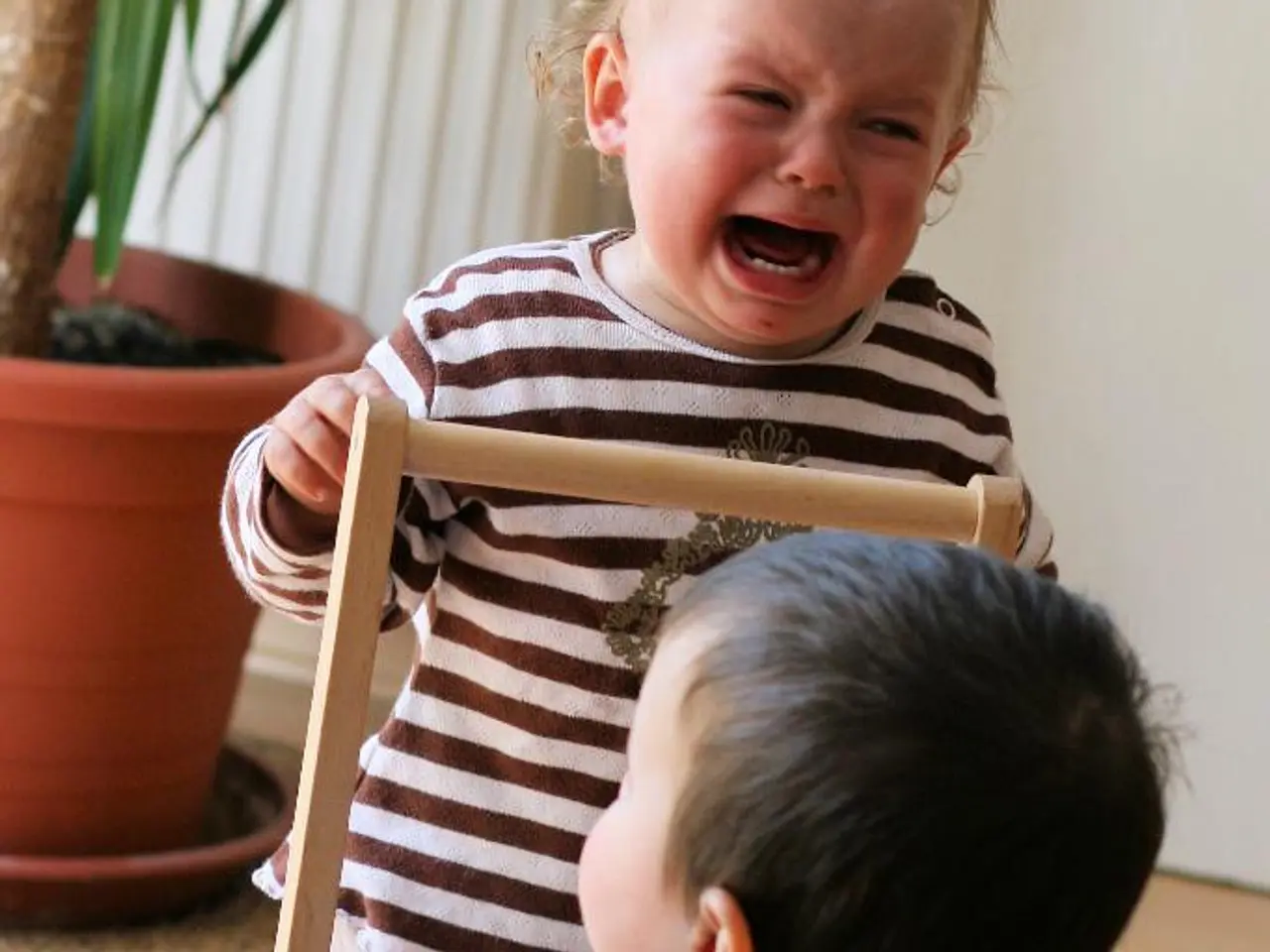 Review of the Levoit Sprout Air Purifier - A baby-appropriate answer to airborne contaminants