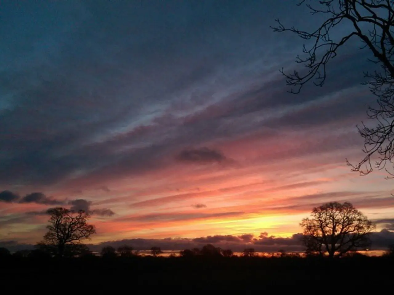 Weekly Photo Collection: Shadowy Scenes, Drops, and Portraits (No. 35)