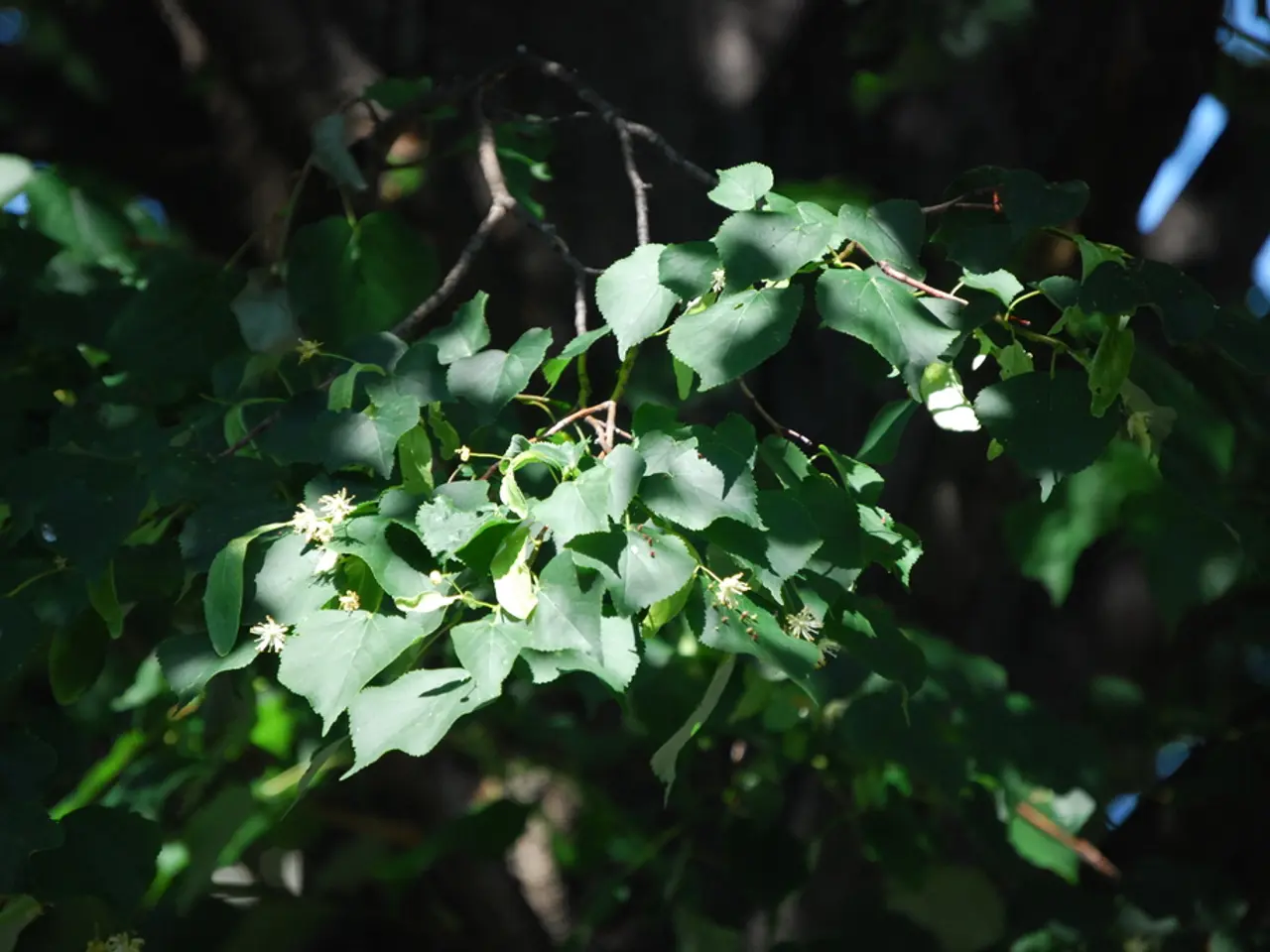 Leader of Department (Mr./Ms./Mx.)