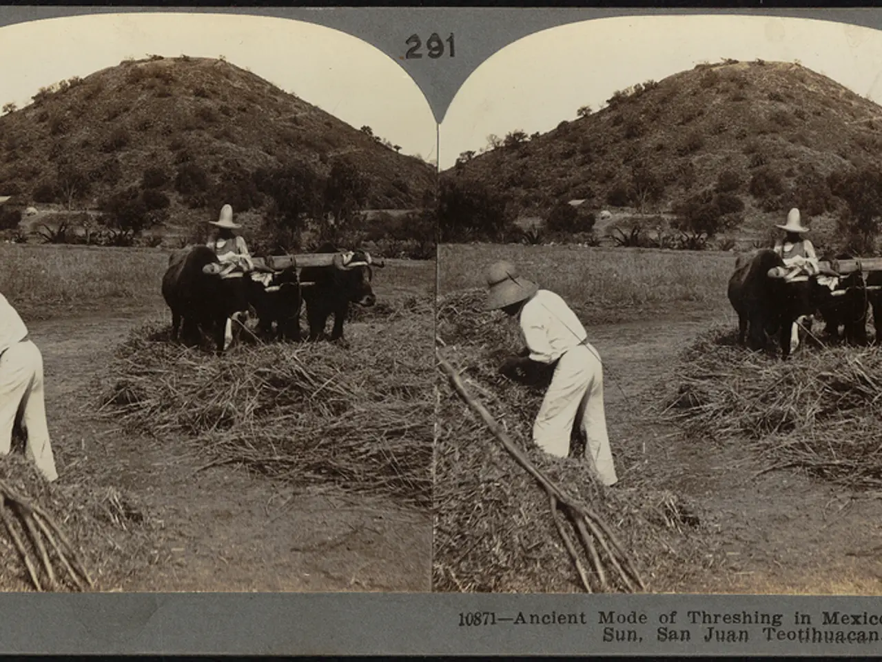 Bullish divergence noticed in Dogwifhat's performance, with analysts expecting a potential surge to...