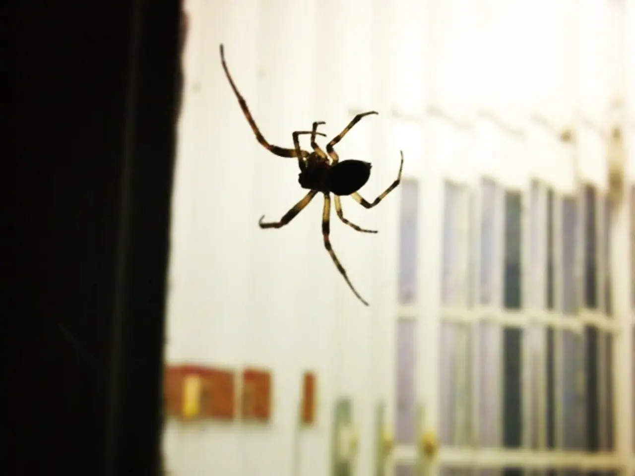 Perceive scents using your lower extremities