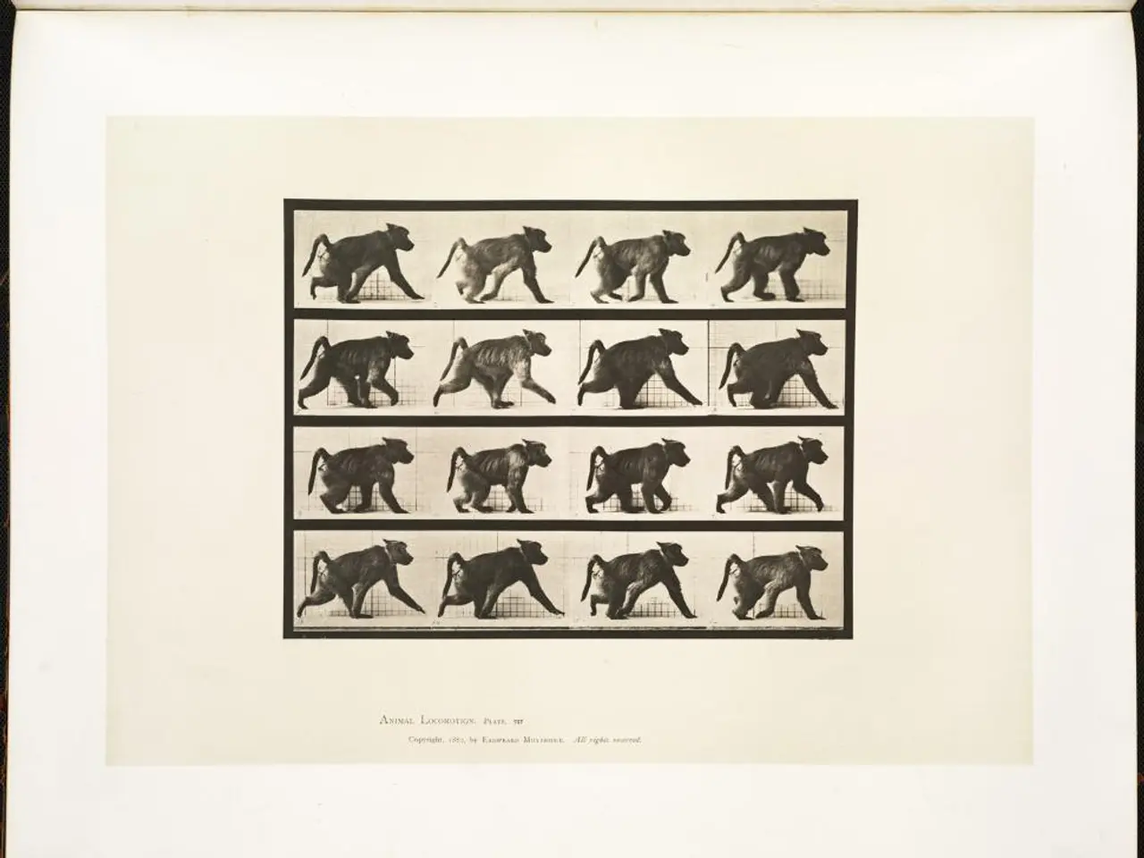 Do our species truly grasp animal emotions?