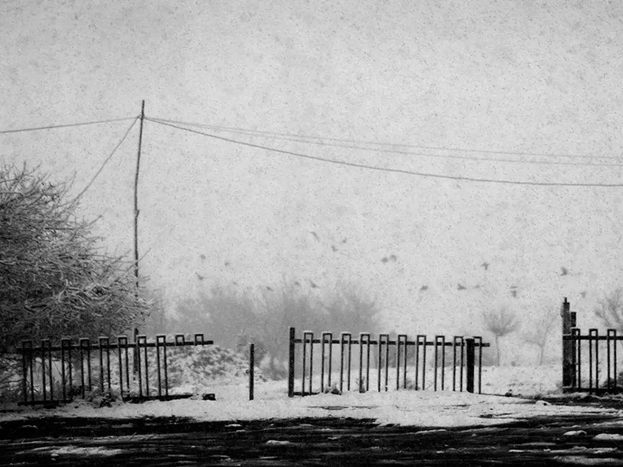 Summer's grip has yet to relinquish to Autumn's approach