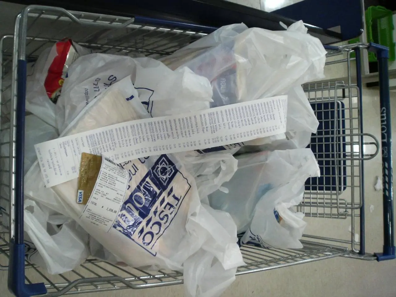 Plastic Recycling in Europe Faces Imminent Collapse due to Series of Shut-downs