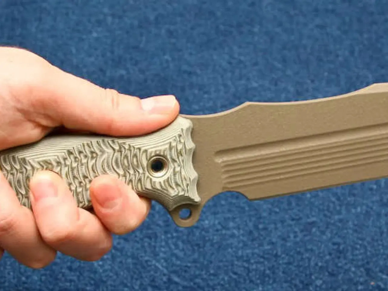 Authorities are delving into the predicament at hand.