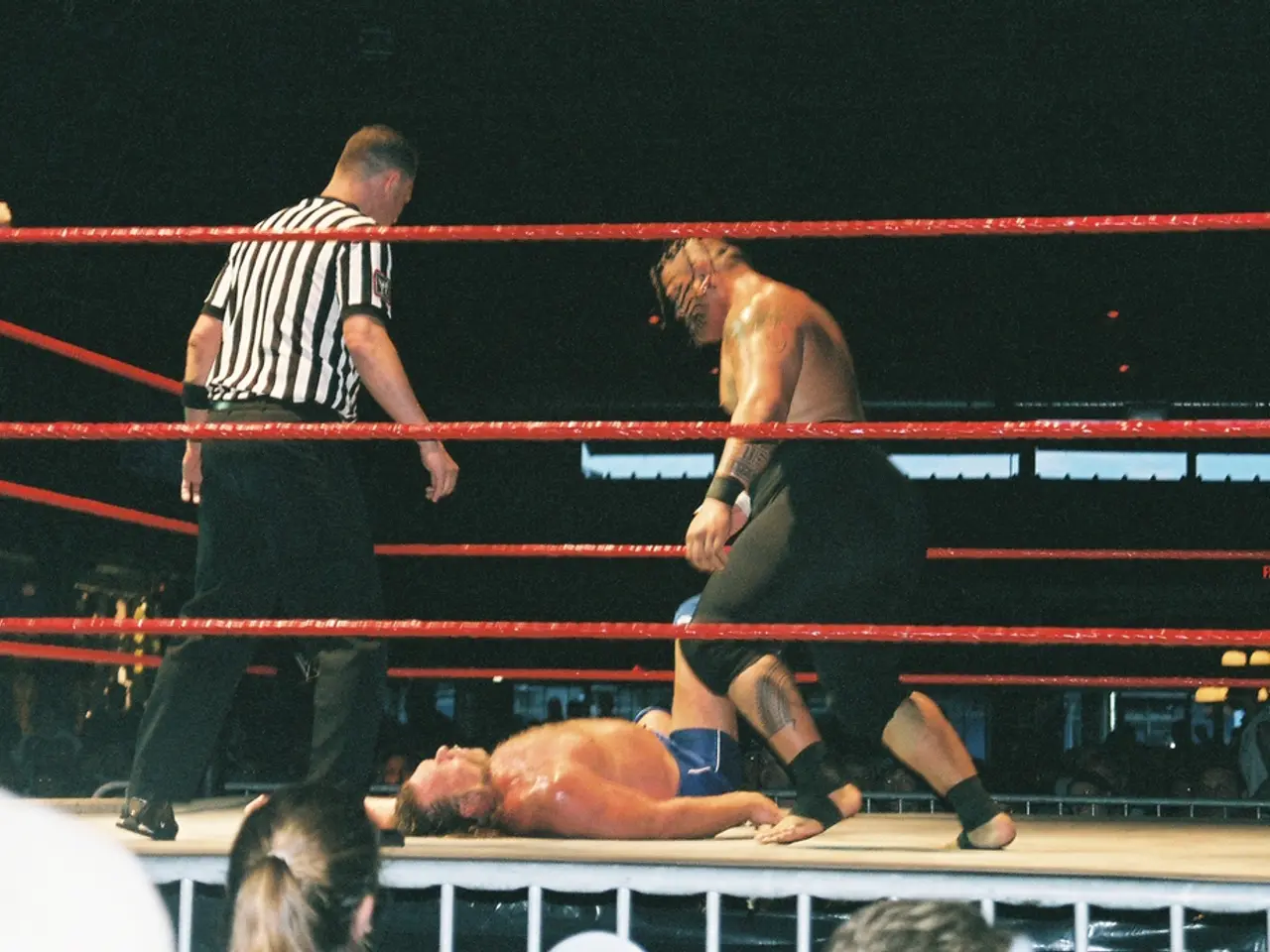 Top 5 Spectacular UFC Knockouts in August