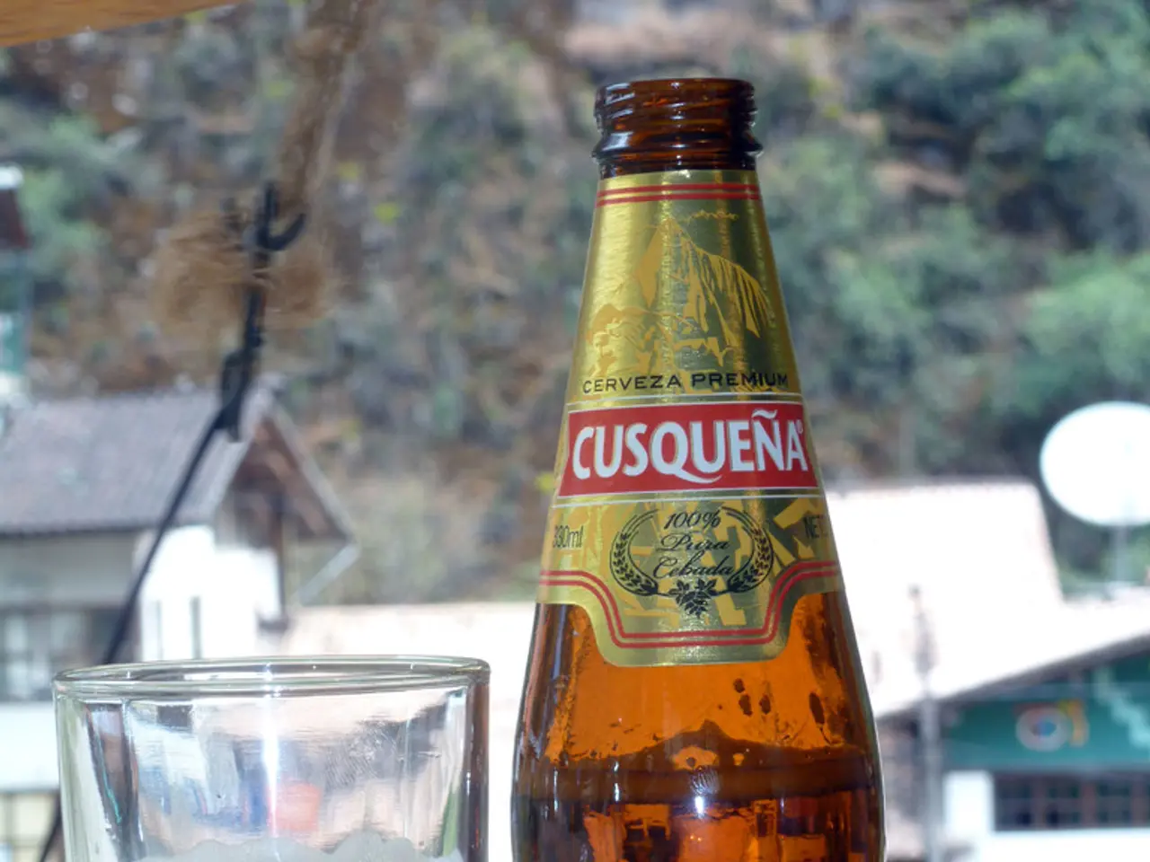 Alcohol-Related Customs and Ceremonial Observances