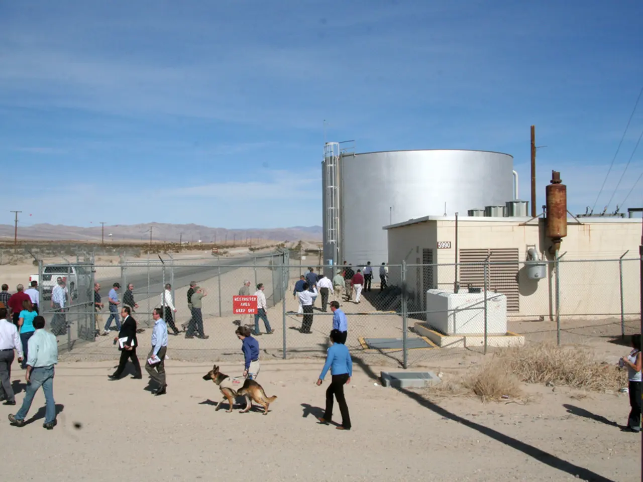 Decline in U.S. Tourism Caused by Self-Imposed Wounds Leaves Certain Americans Frustrated and...