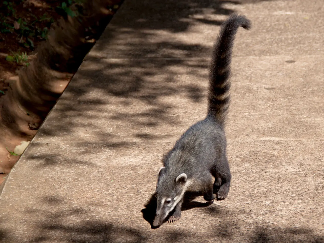 Unique Physique Misconception Debunked: Equalization of Mental Health, Not Physical Differences