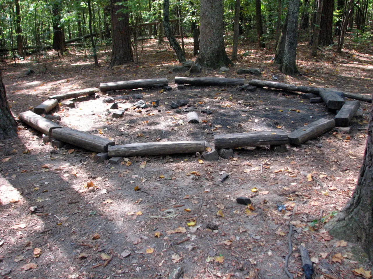 Tree Recognized as National Heritage