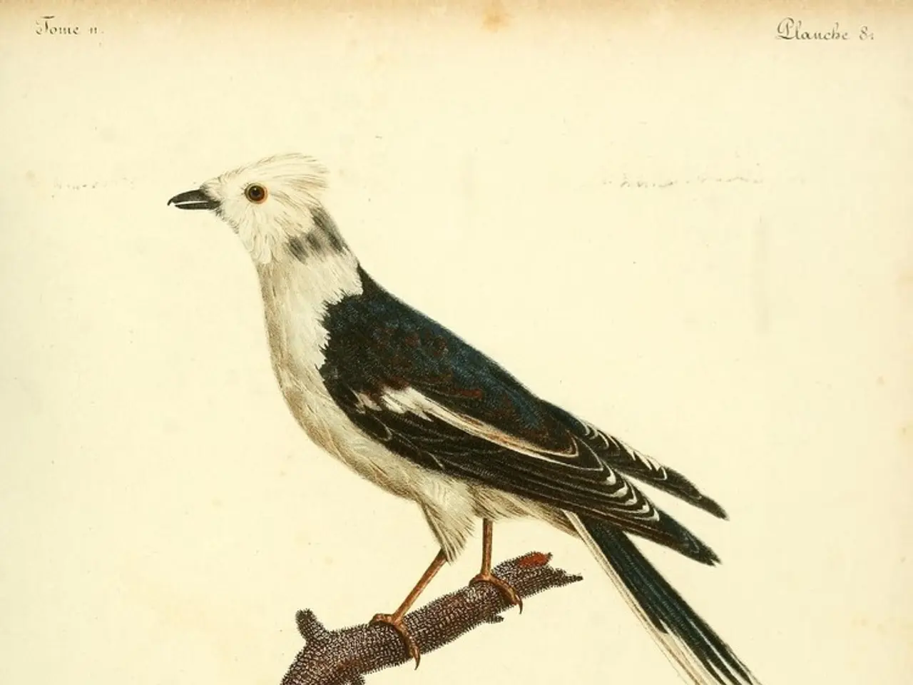 Quotations from a Mastermind: Crucial Perspectives and Knowledgeable Guidance