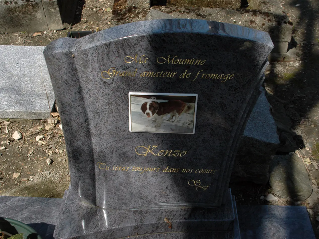 Displaying the gruesome reality of "end-of-life termination" atrocities in an exhibition