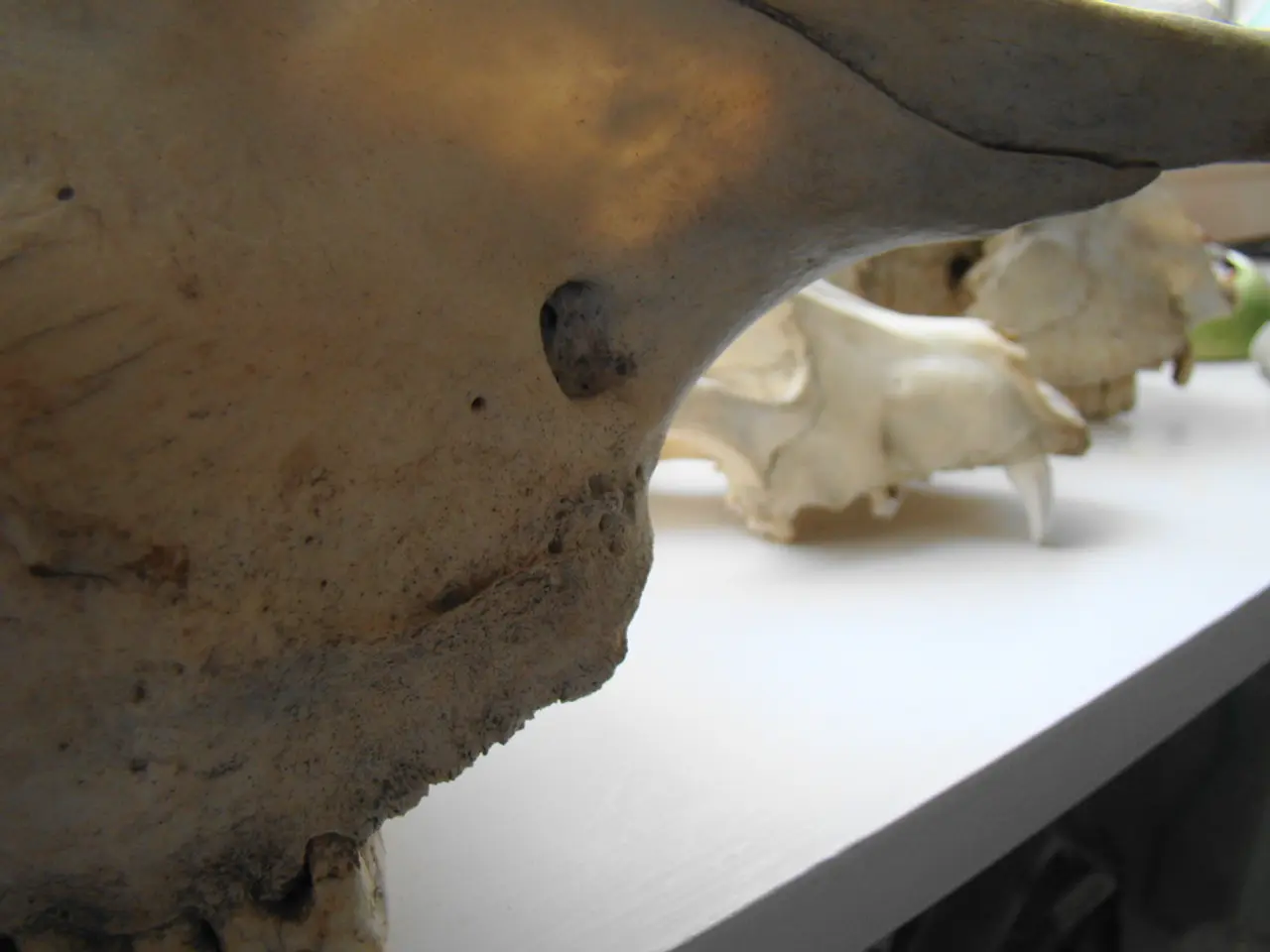 Radiation Explained: Discovering the Science of Irradiation