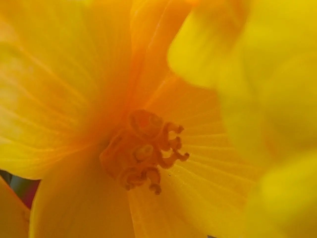 Saturday's Pollenflug Marburg: Multiple pollen types in motion - Identified species include...