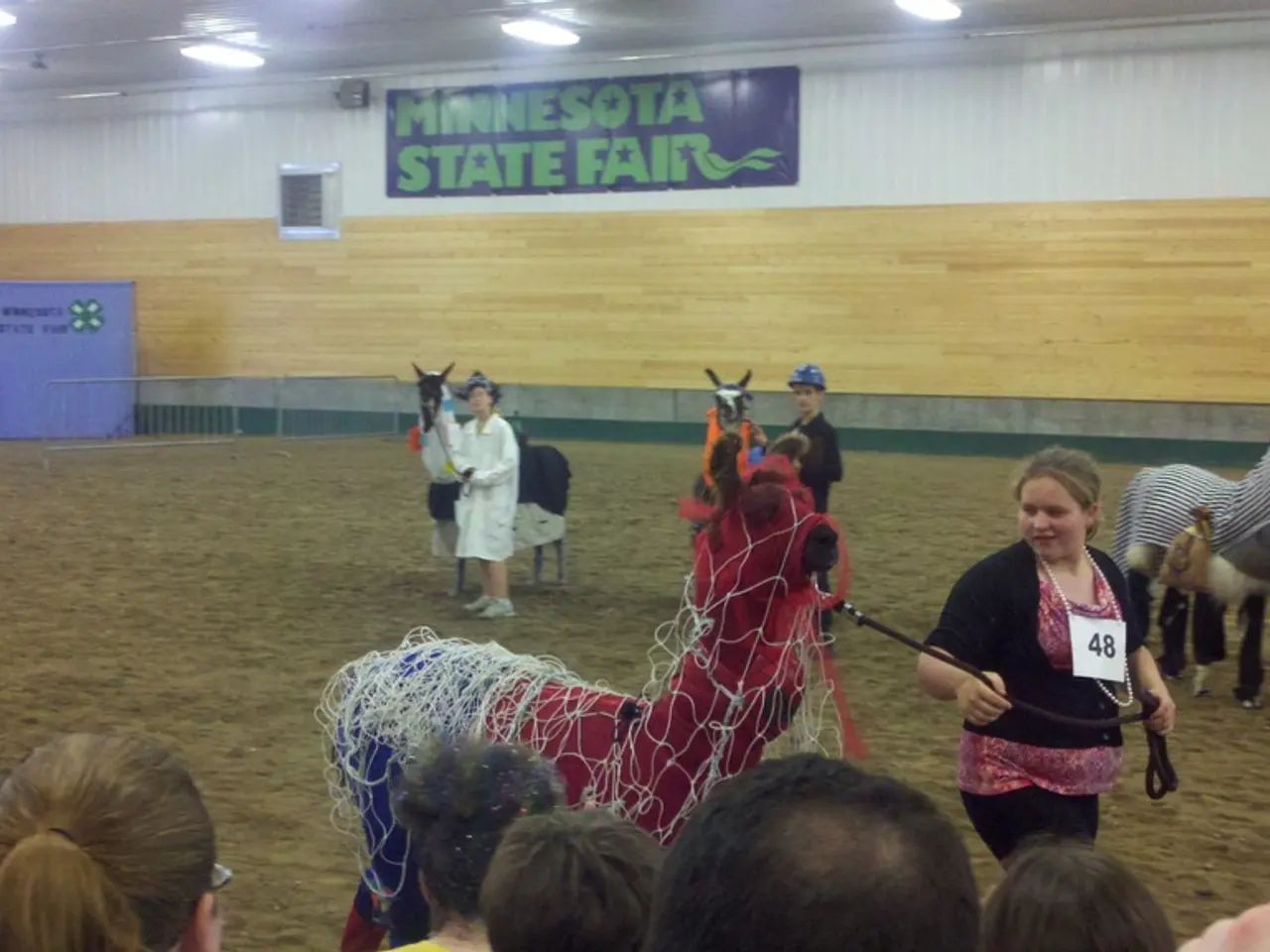 Discovering a Balance Between Horses and Financial Wealth