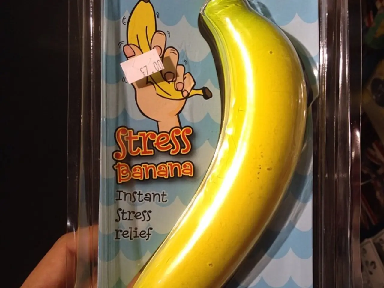 Impact of Glucocorticoids on Stress and Cognitive Processes in the Brain