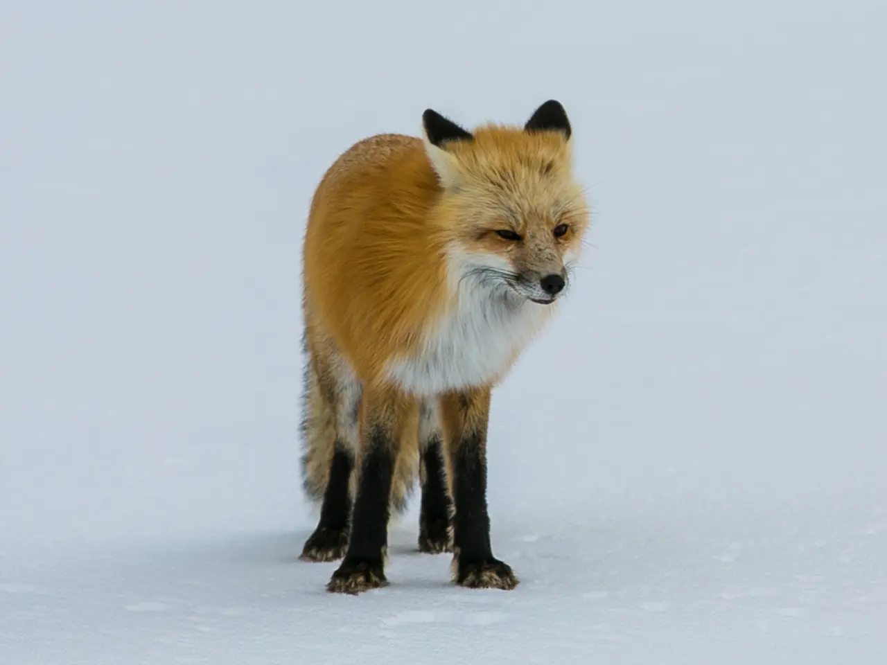 Media tycoon Rupert Murdoch's clan closes agreement on succession of media empire leadership...