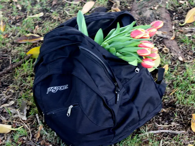 Top 7 Outstanding Lawn Fertilizers