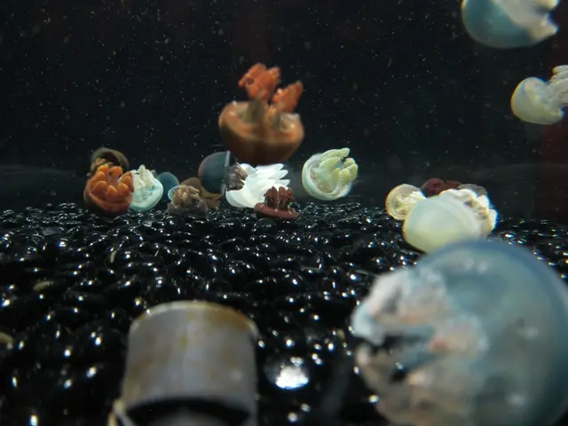 Beach-dwelling 'flesh-consuming bacteria' pose a lethal threat. Here's how to ensure your safety.