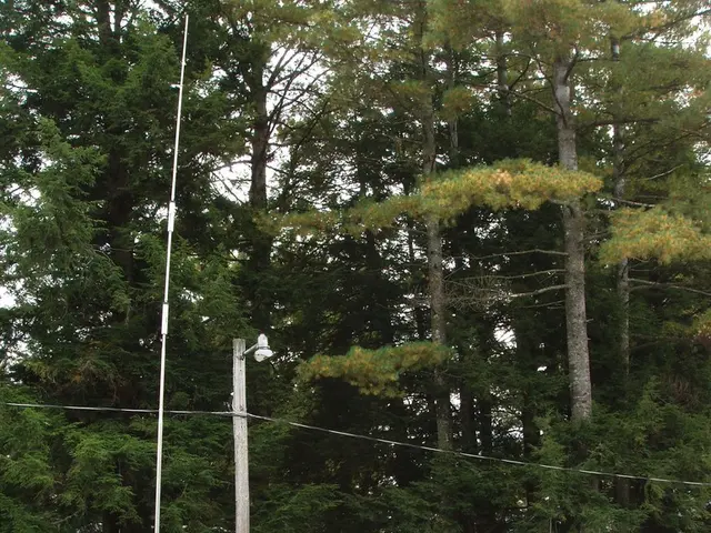 Exploring the Basics of the Golden Caravan Online Slot Game