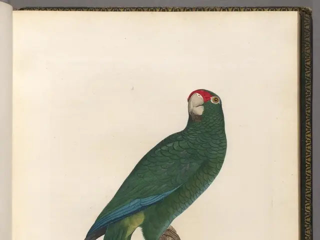 Pushed Jon Das Comes Out Victorious in the 40K NLH Re-Entry Event at DPT Grand 2024 (Jaydeep Dawer...