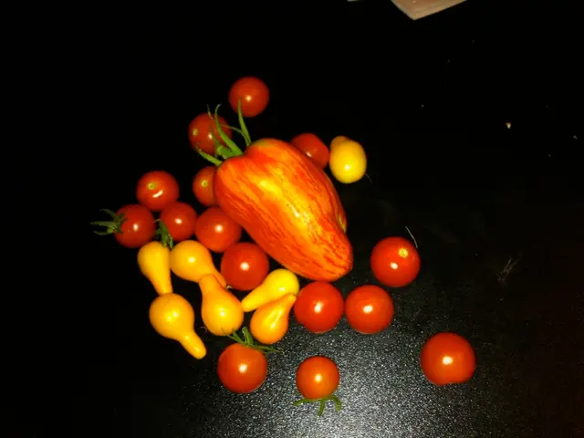 Sizzling Fruit Exhibition