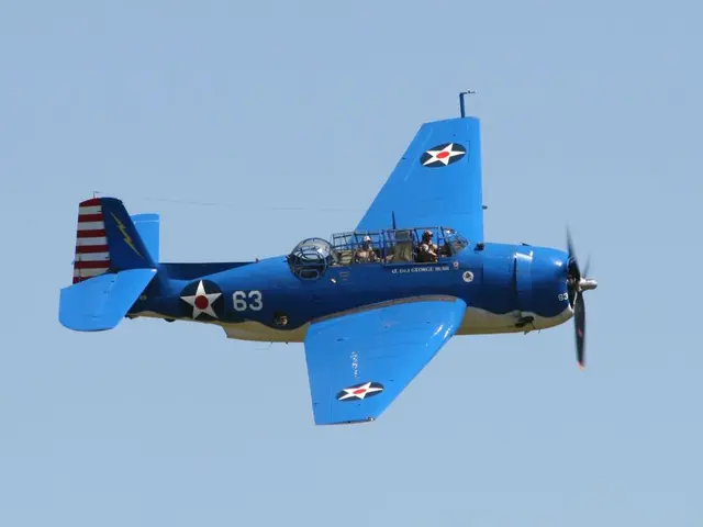 Aviator Contest held by Hollywoodbets