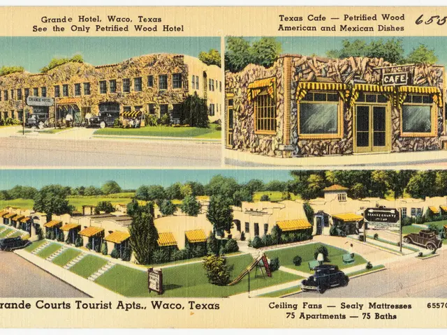 Emergence of Structured Data and Its Significance in Search Engine Optimization