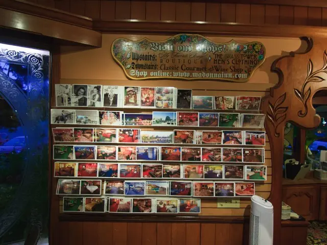 Gaming Introduction: Gnome Wood Slot