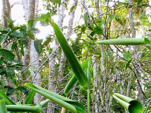 Harmful Impact of Lush Green Lawns on Health Unveiled