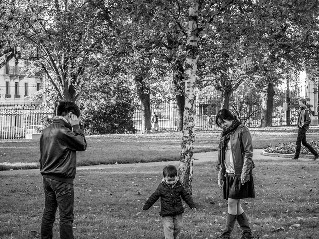 Neighbour Disputes Among Britons: Insights into the Most Common Causes