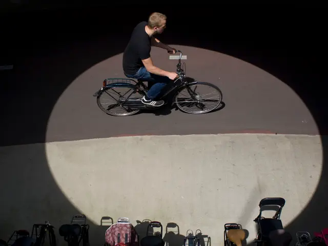 Critics from influencers advocate against birth control, instead advocating for 'natural' family...