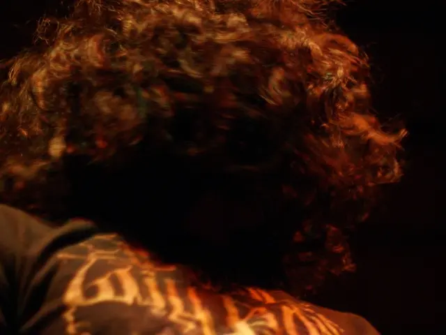 Top-Tier Hair Solutions for All Curly Hair Varieties and Complexions