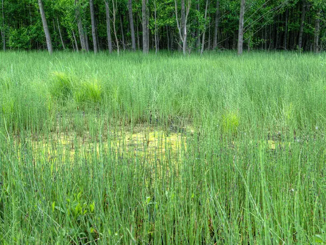 Gargantuan Wyoming Ranch Spanning Nearly 1.2 Million Acres Available for Sale at $22 Million