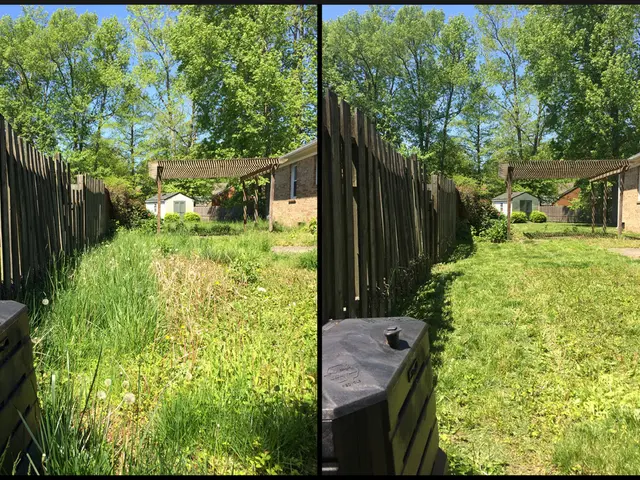 California-inspired style transforms a Minnesota lake house residency