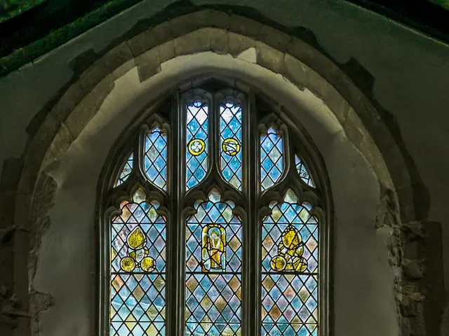 Transverse Myelitis: A Clash with Multiple Sclerosis - Key Points to Consider