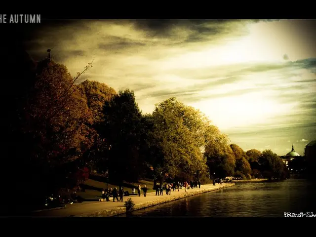 Bitcoin and Litecoin cloud mining platform introduced by DNSBTC, guaranteeing highest returns