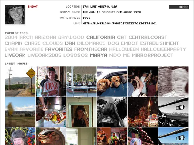 Enhancing Email Campaigns with Infographic Integration: A Guide for Superior Design