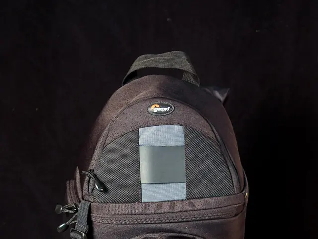 Sustainable Fashion Accessories: Blending Style and Eco-Friendliness