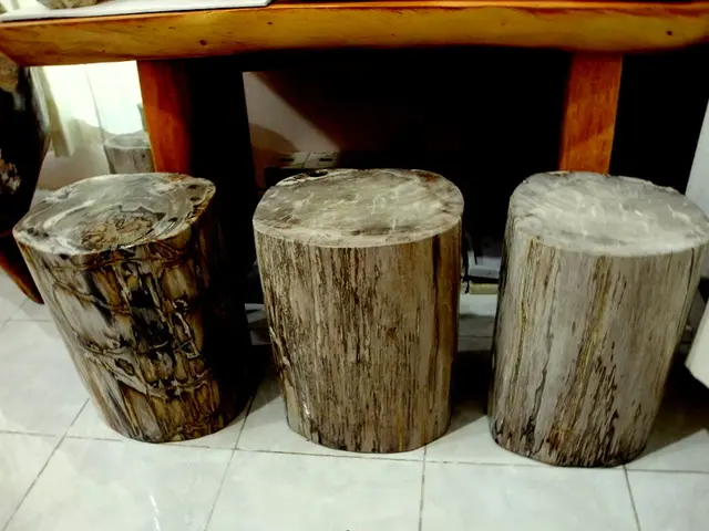 Expenses associated with sanding a wooden floor, encompassing expert charges and do-it-yourself...