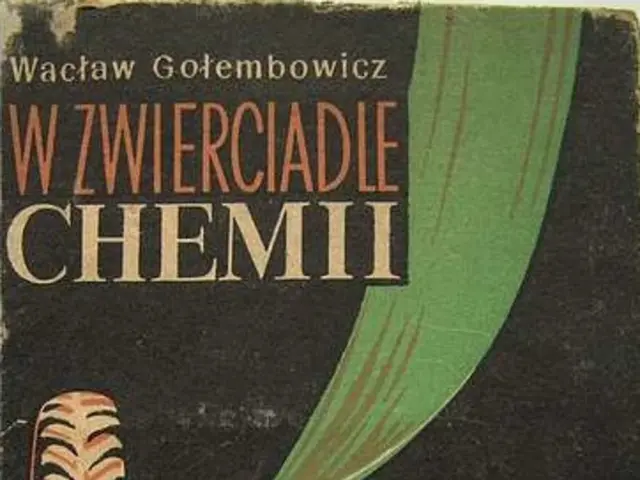 Michelin's Latest Offering: A Review of the New Pilot Sport 5 Tires